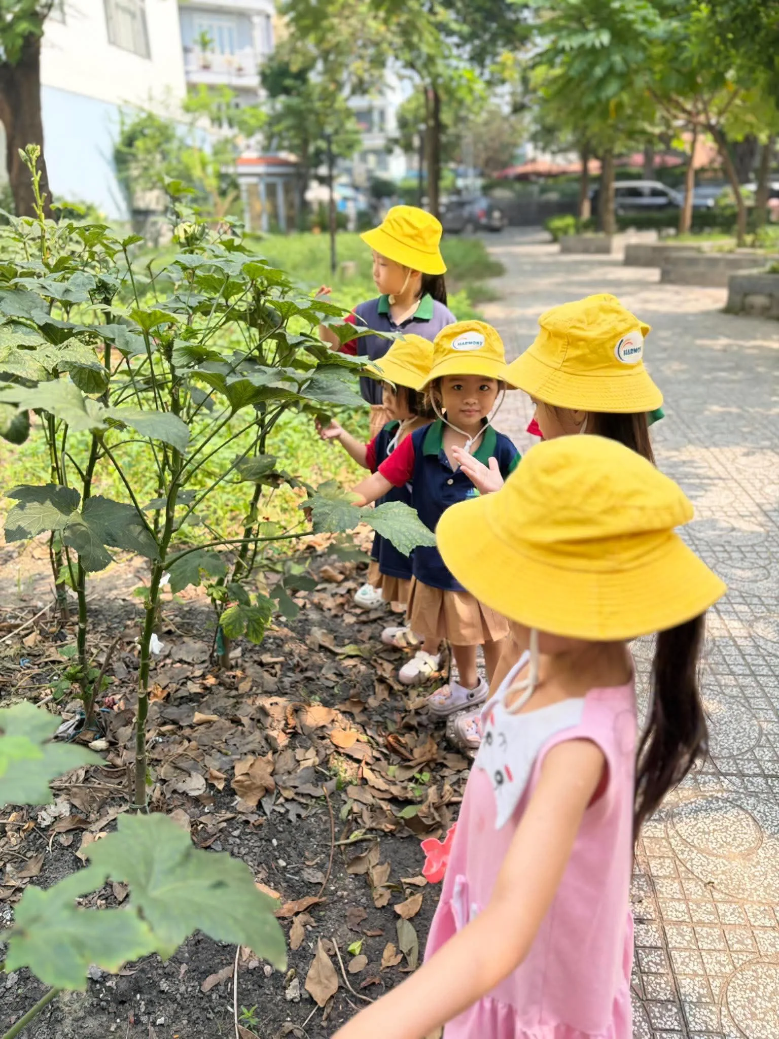 🌿 Mỗi ngày ra ngoài là một hành trình khám phá mới! 🍃 Các bé cùng nhau quan sát, tìm hiểu những điều thú vị xung quanh và khám phá thế giới bằng đôi mắt tò mò, háo hức. 💚