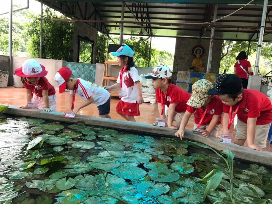 Trường mầm non Quốc Tế Maple Bear Celadon