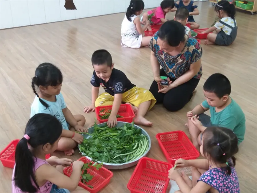 Trường mầm non 8