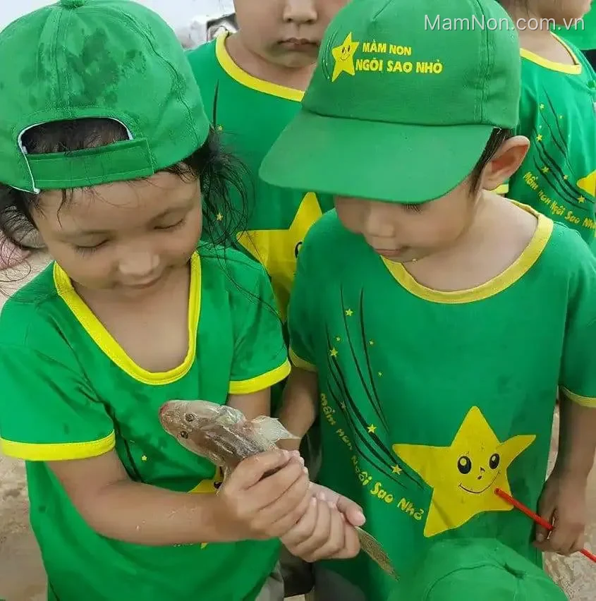 Trường mầm non chất lượng cao Ngôi Sao Nhỏ - Hùng Vương, Sóc Trăng