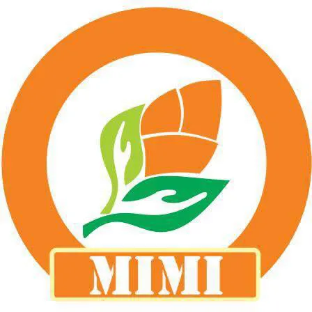 Mầm non Mimi