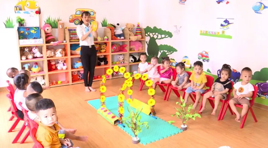 Mầm Non Hoa Mặt Trời