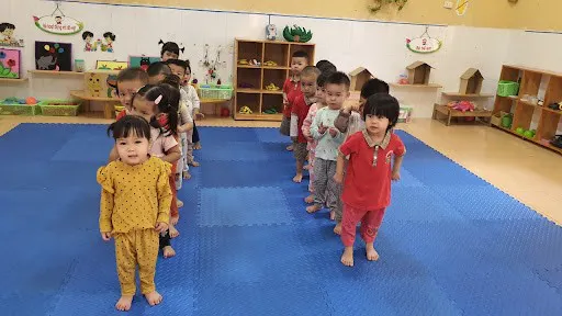 Mầm Non Tuổi Thơ