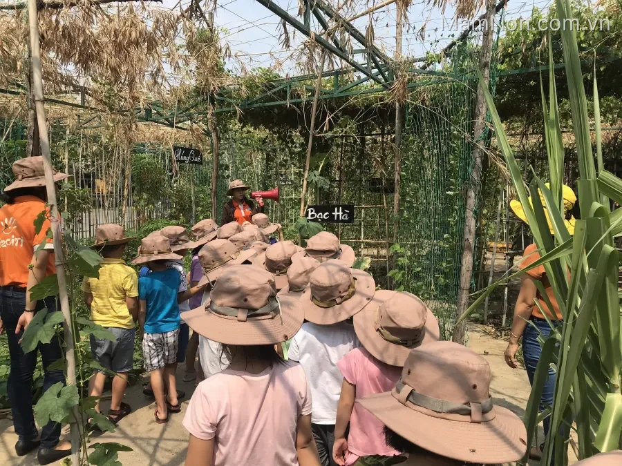 Trường mầm non Anh Đào