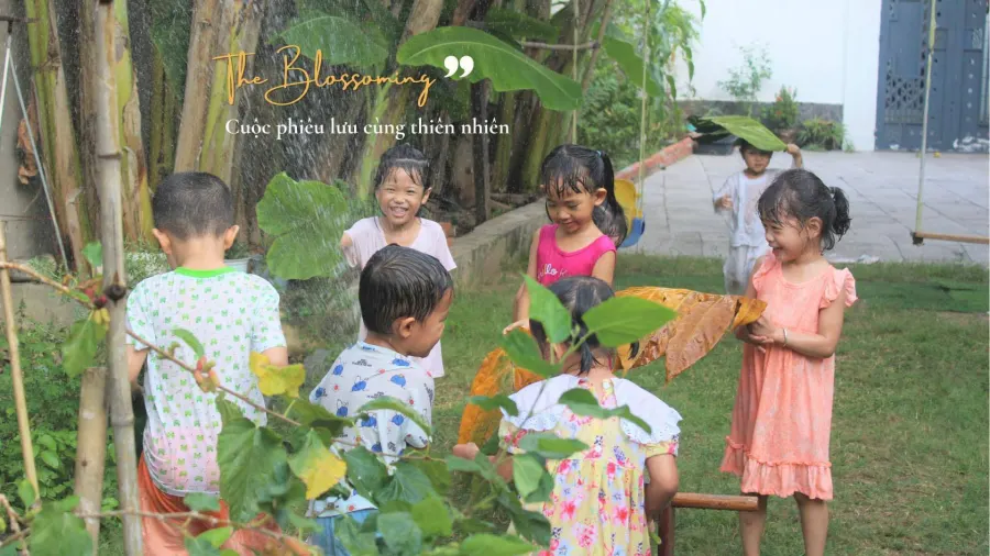 Trường Mầm non The Blossoming