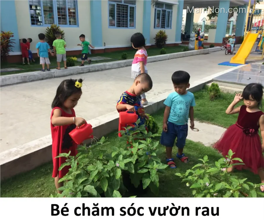 Trường mầm non Hoa Đào