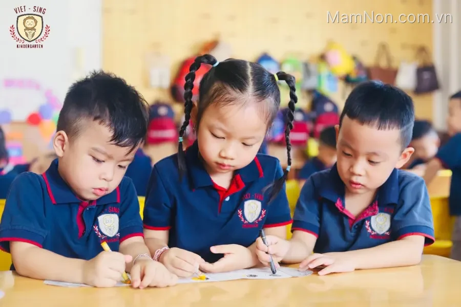 Trường Mầm Non Viet - Sing