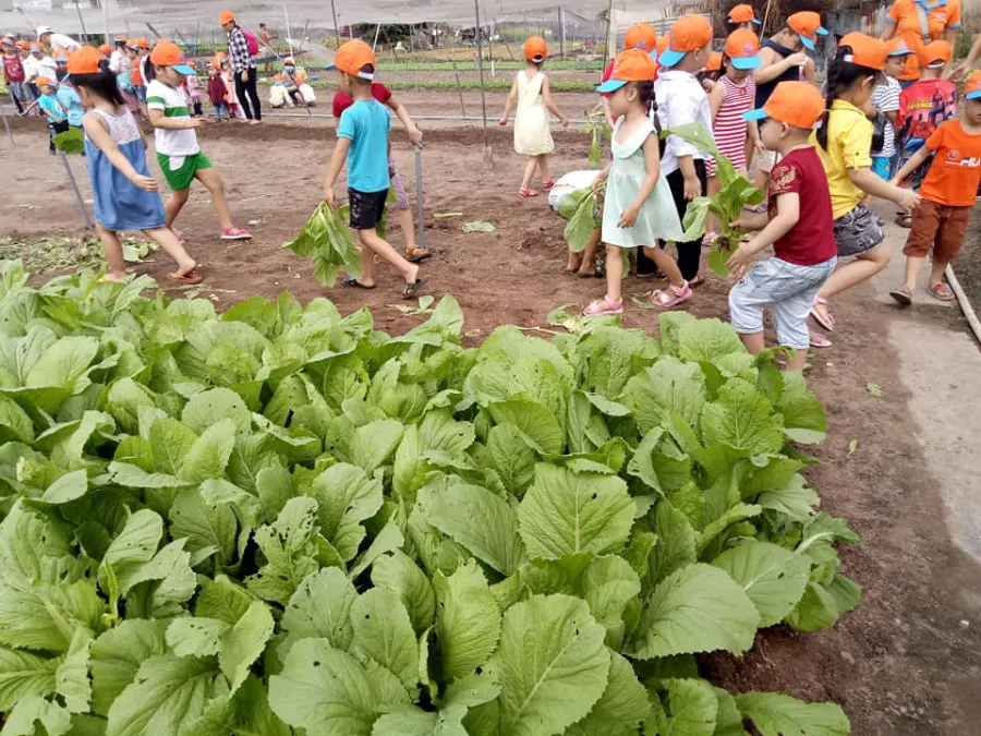 Trường mầm non SuSu