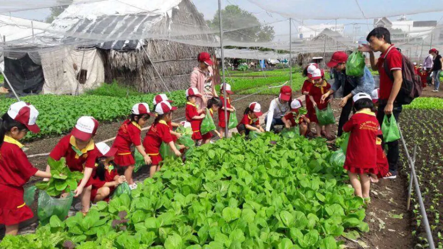 Trường Mầm Non Sao Vàng - Phường 14, Bình Thạnh