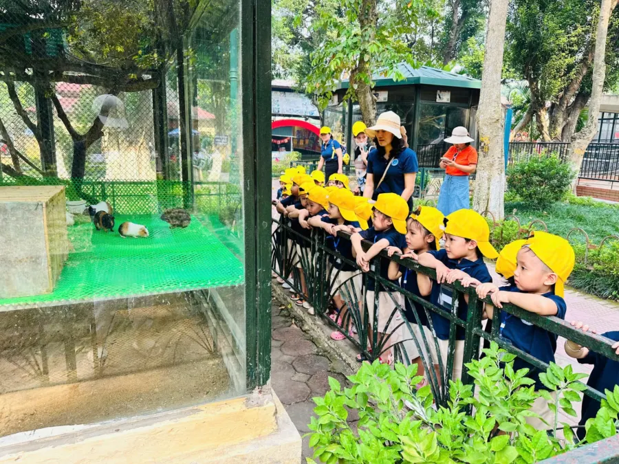 Trường mầm non Qibi Montessori