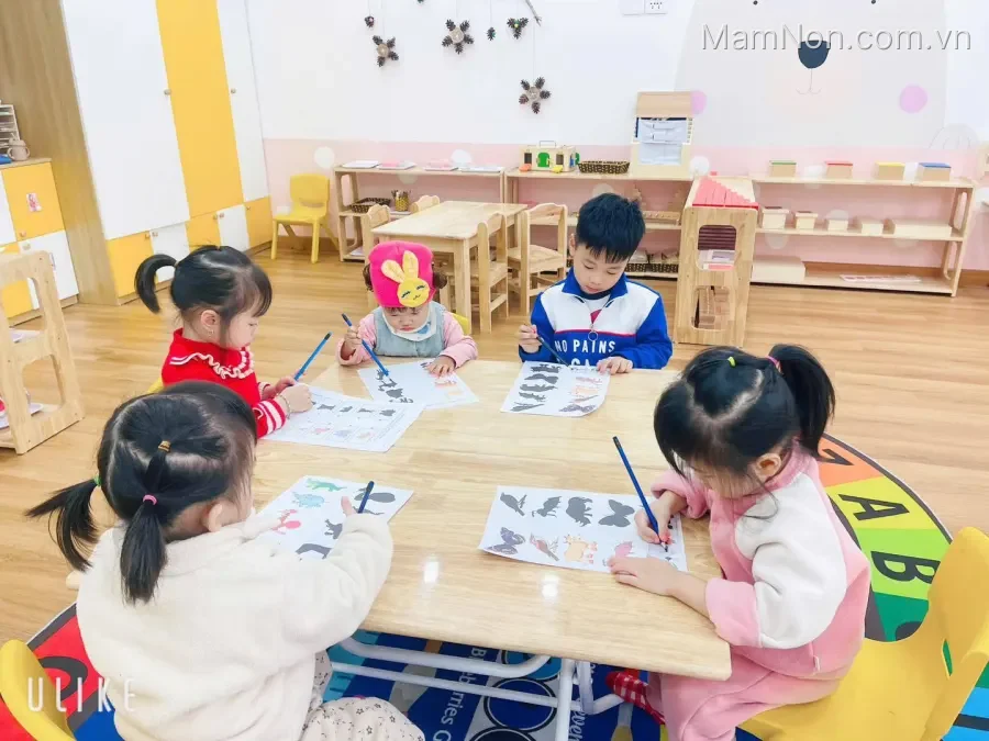 Hệ thống Mầm non P.Montessori