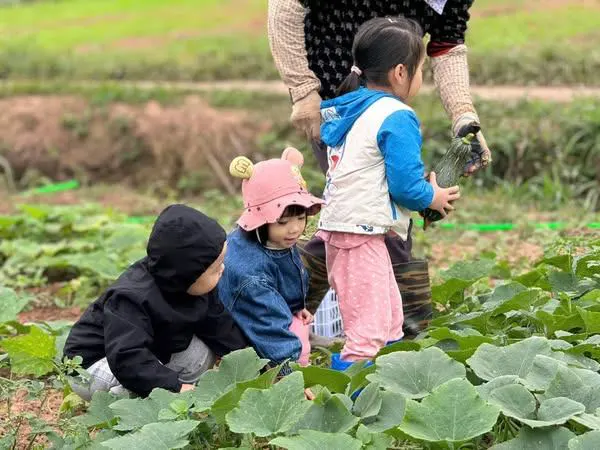 Trường Mầm non Ánh Dương
