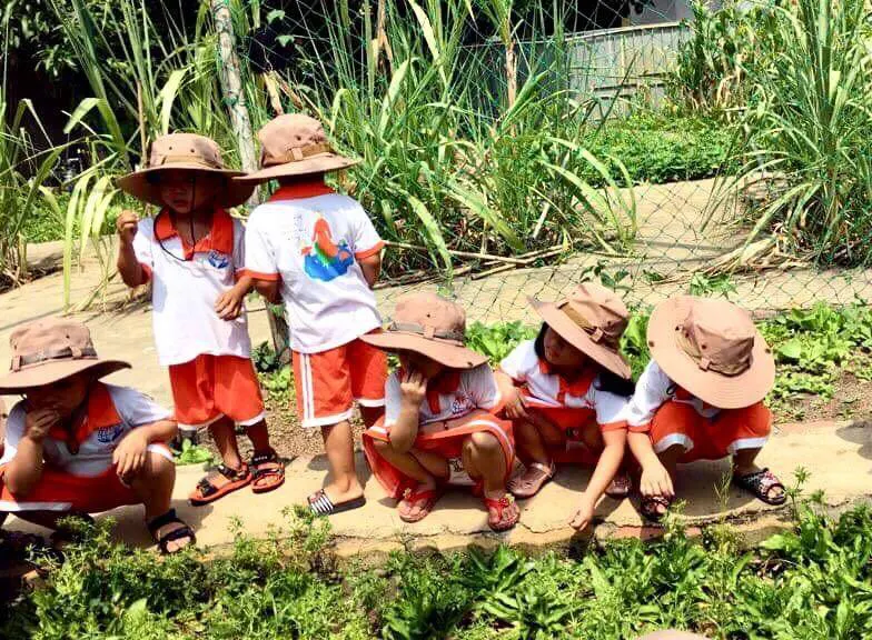 Trường Mầm Non Nhật Anh