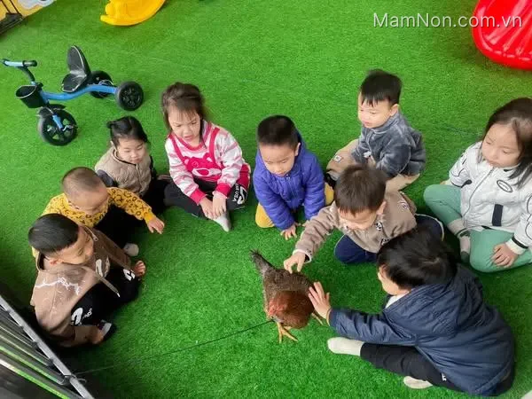 Trường Mầm Non Độc Lập Cầu Vồng