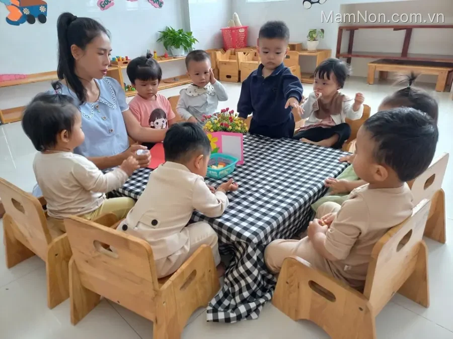 Hệ thống Mầm non Memory