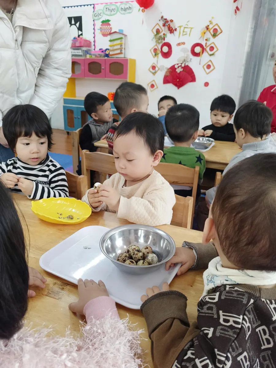 Trường Mầm Non Người bạn nhỏ - Montessori Little Friends