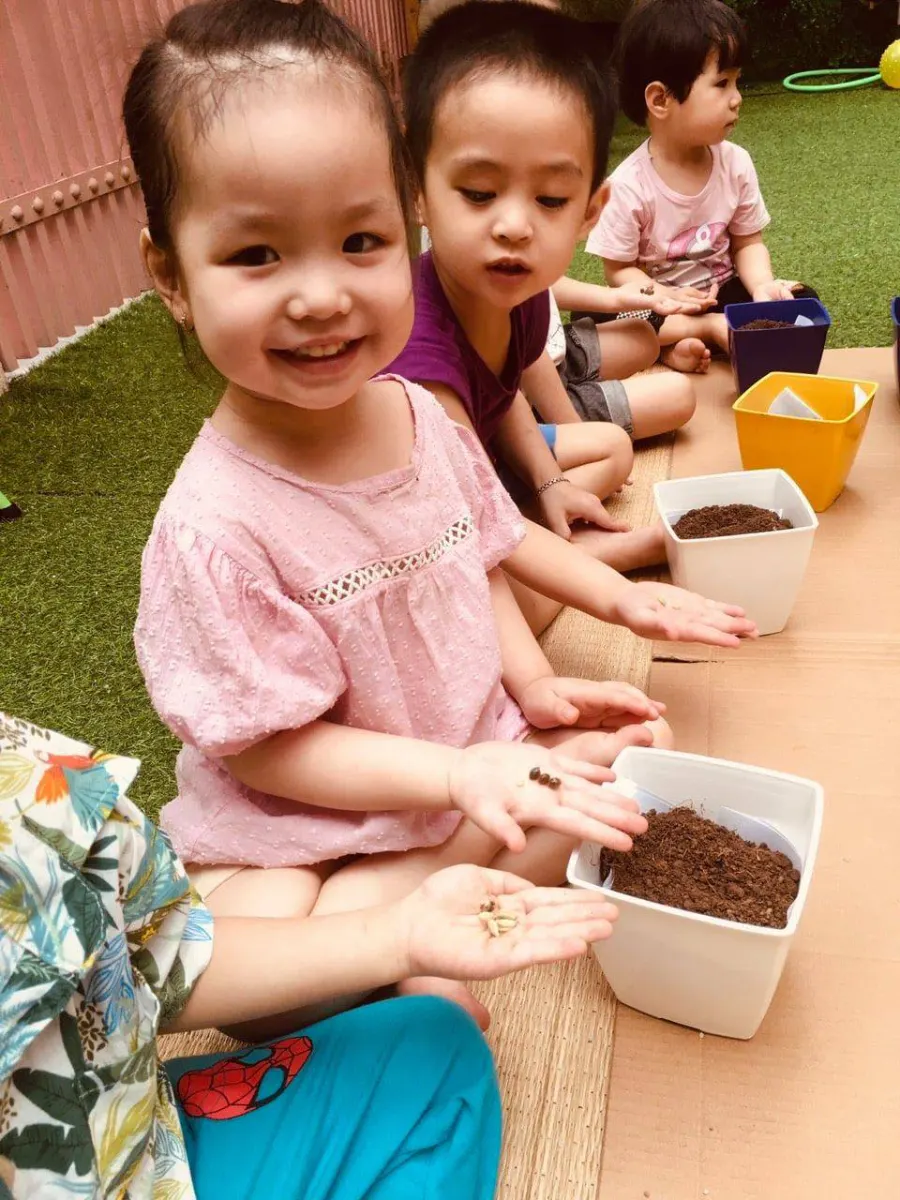 Mầm Non Hoa Sen Trắng