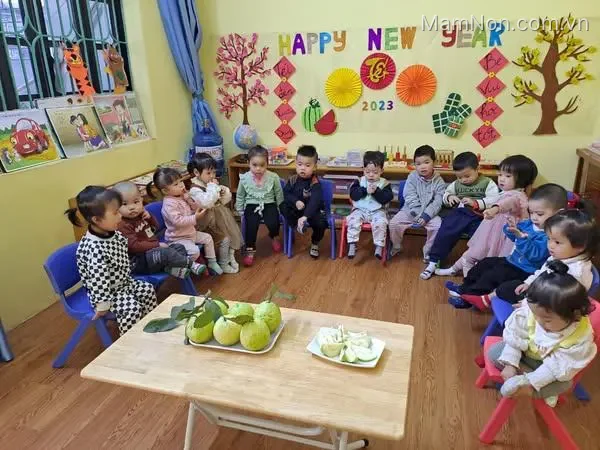Mầm Non Mai Vàng