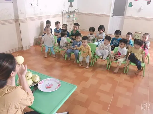 Mầm non Hoạ My