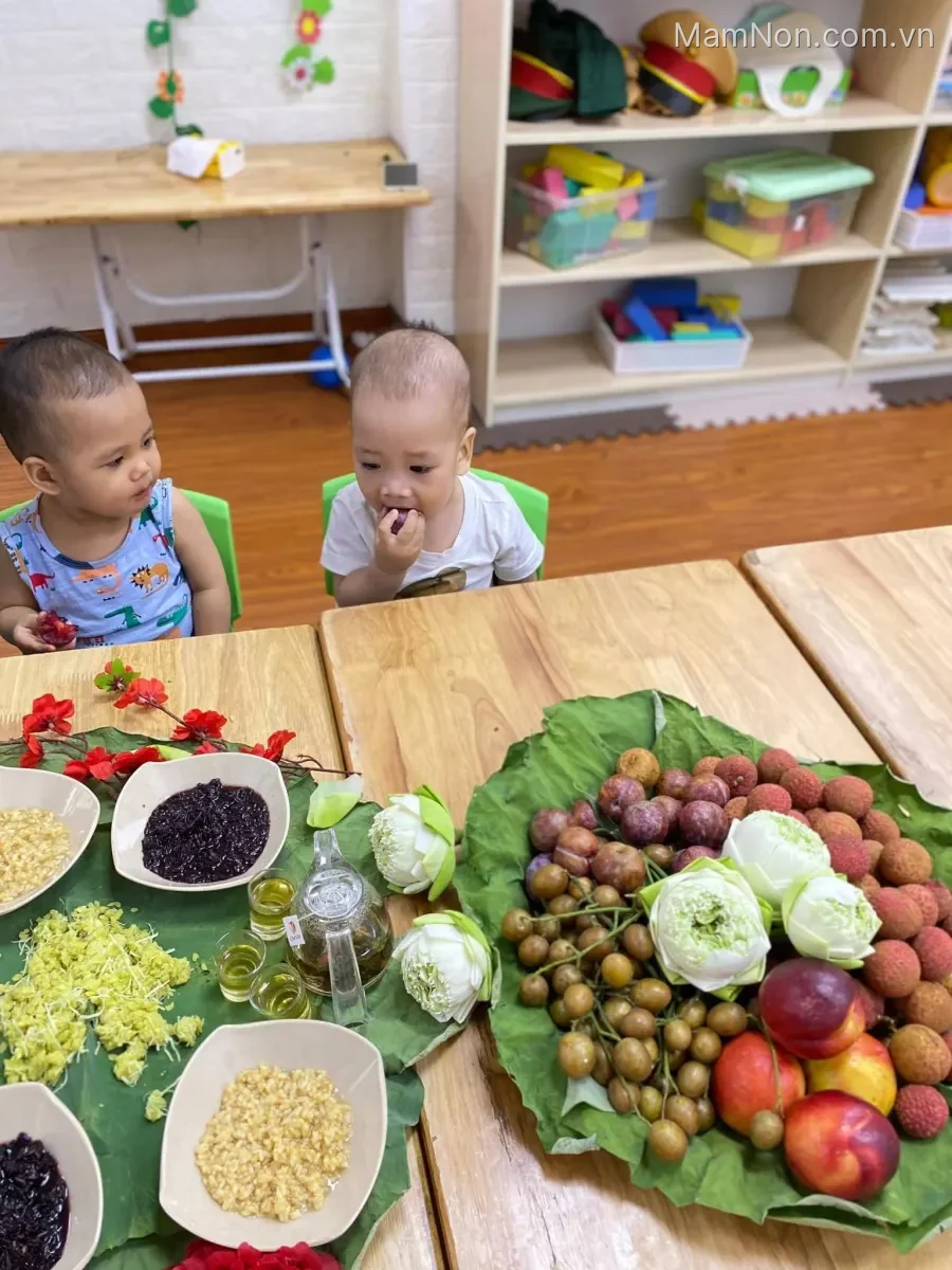 Mầm Non Tương Lai