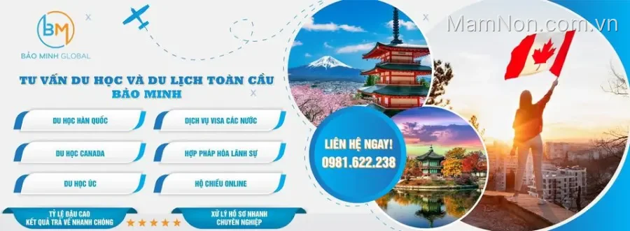 Trung tâm Bảo Minh Global