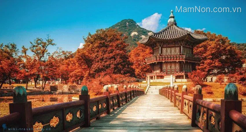 Trung tâm Nhân Lực - Tư Vấn Du Học Và Xuất Khẩu Lao Động