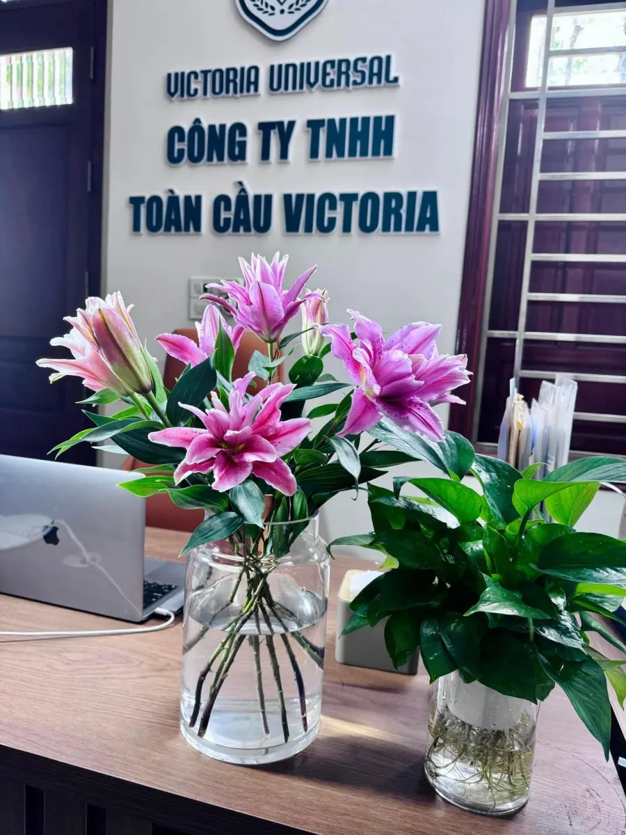 Trung tâm Victoria Universal