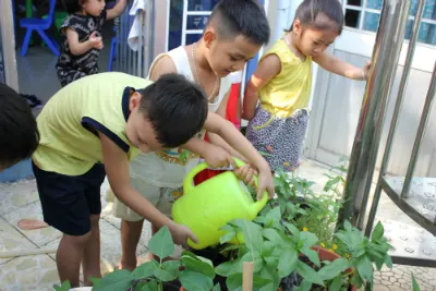 Trường mầm non Mai vàng