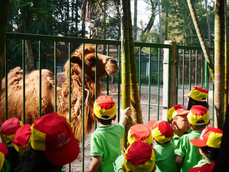 Trường mầm non Miền Trẻ Thơ Kiddyland