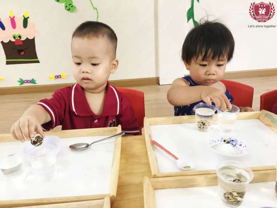 Trường mầm non quốc tế Shiningstars
