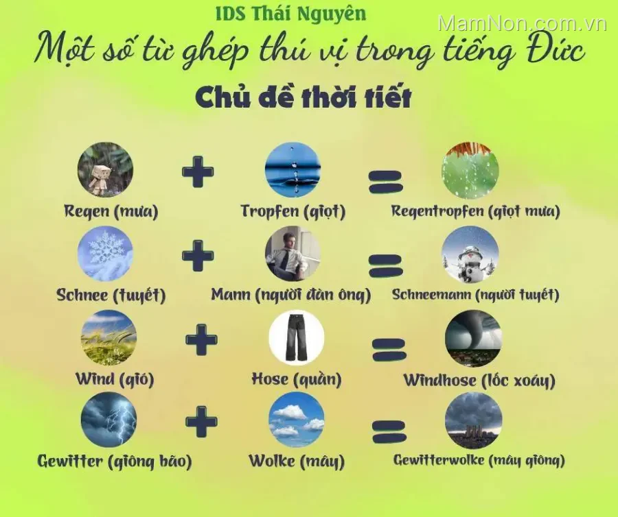 Trung tâm Ngoại Ngữ tiếng Đức Quốc tế IDS