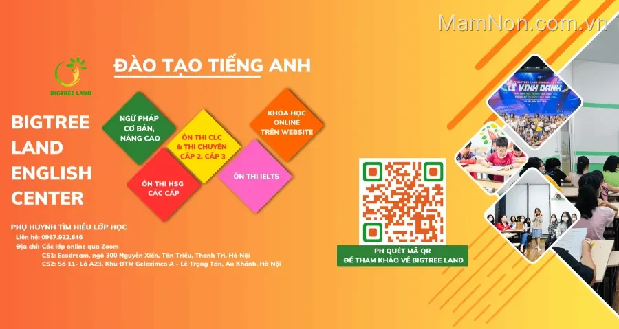 Trung tâm Bigtree Land - English Center