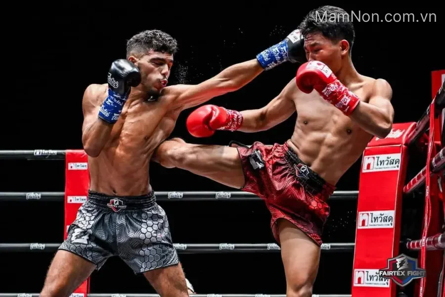Trung tâm Đào Tạo Phát Triển Võ Thuật Bình Minh (BMA SPORT)