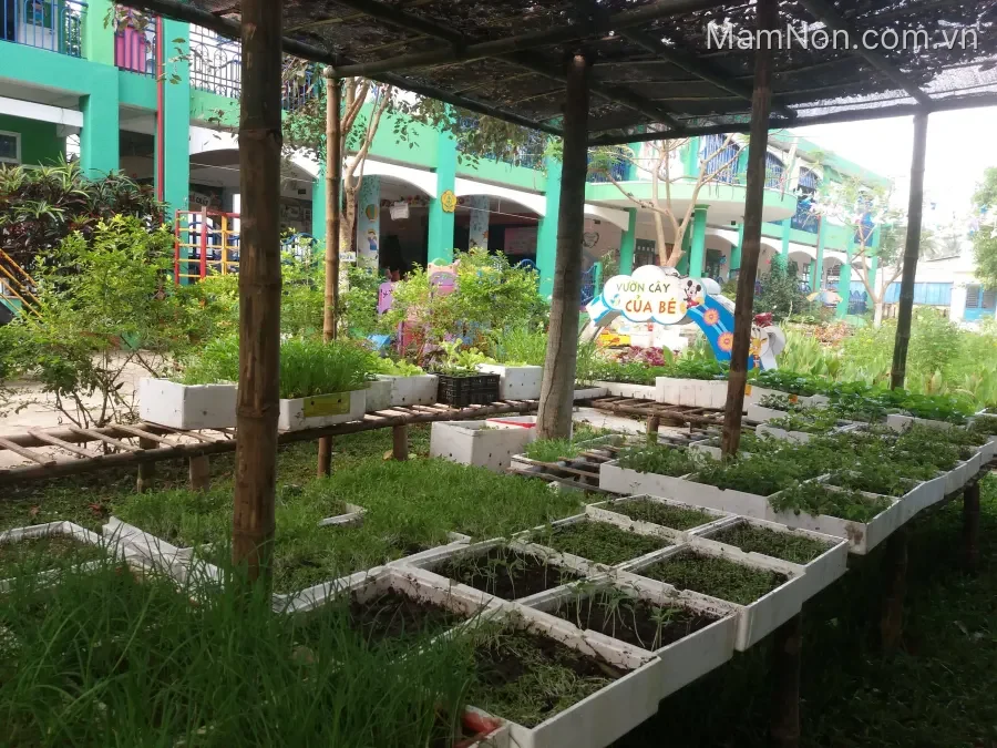 Trường mầm non Hòa khương