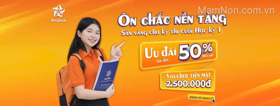 Trung tâm Amslink English Center