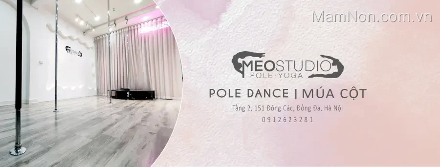 Trung tâm dạy múa Meo Studio - Pole Arts, Aerial & Yoga