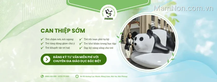 Trung tâm CTXH & Can thiệp sớm Panda