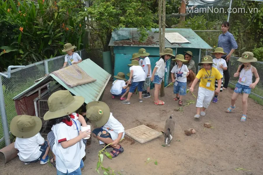 Trường mầm non Chim Cánh Cụt