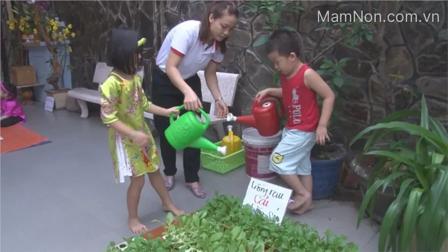 Trường mầm non Kiều Đàm