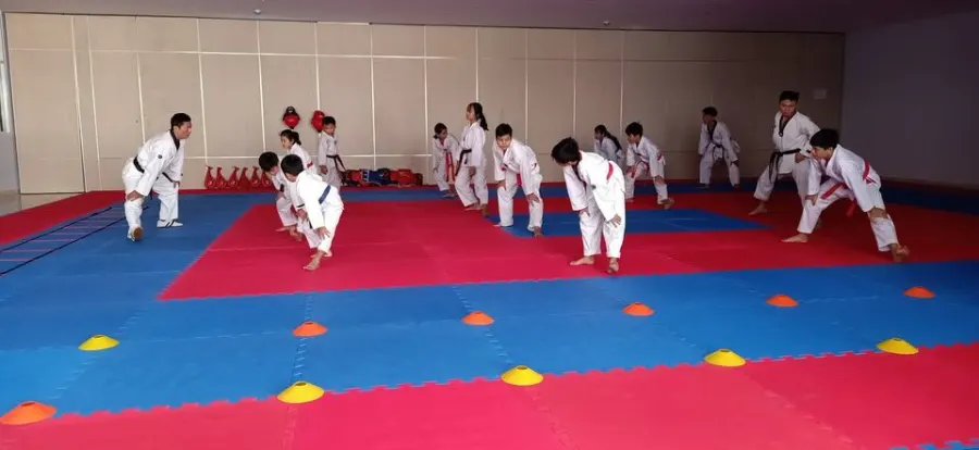 Trung tâm học võ Taekwondo Trường Hải