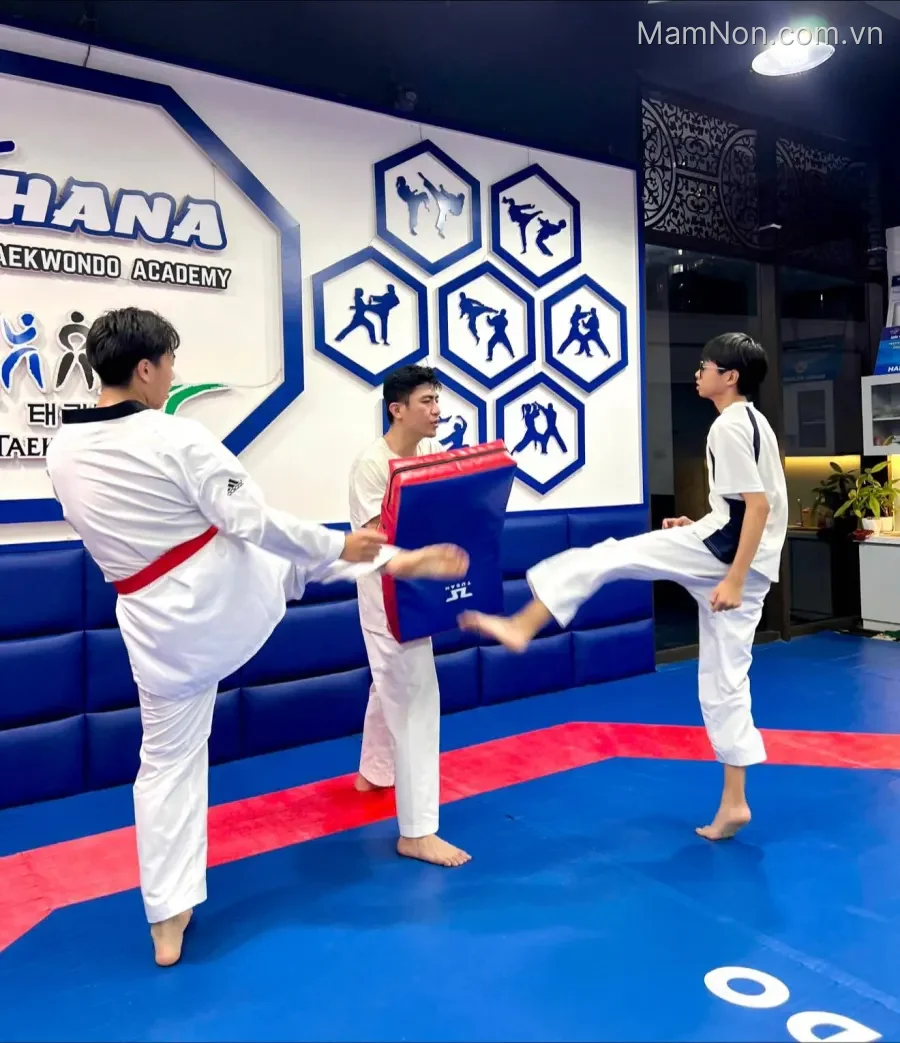 Trung tâm Hana Taekwondo Academy