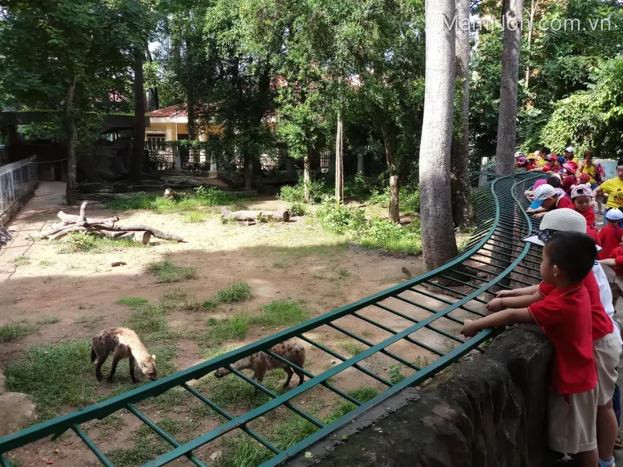 Trường mầm non Trí Đức 2