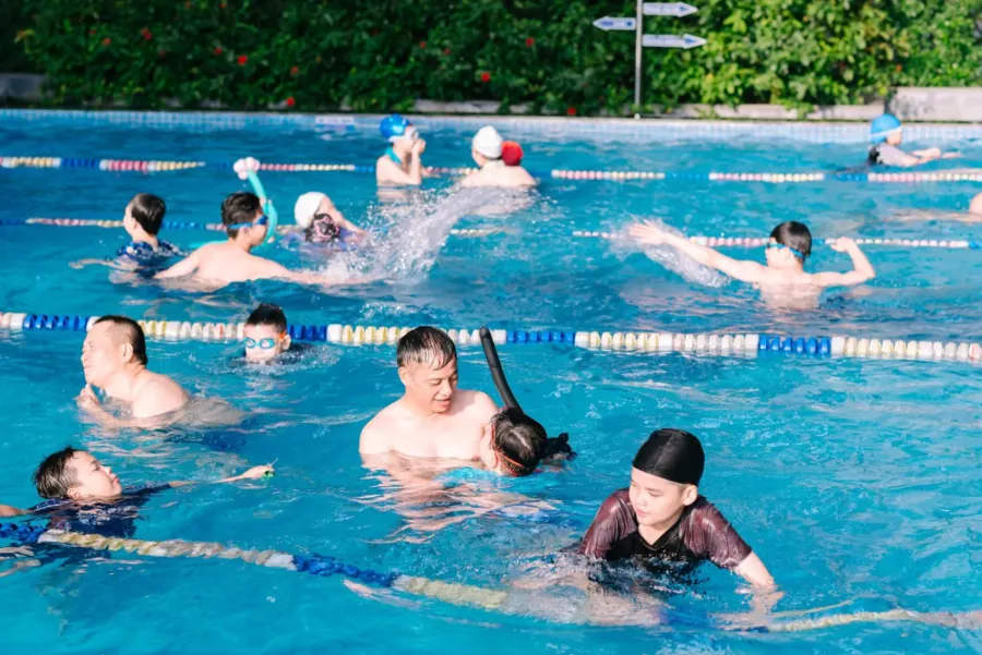 Hệ thống Bể bơi Dolphin TOP POOL