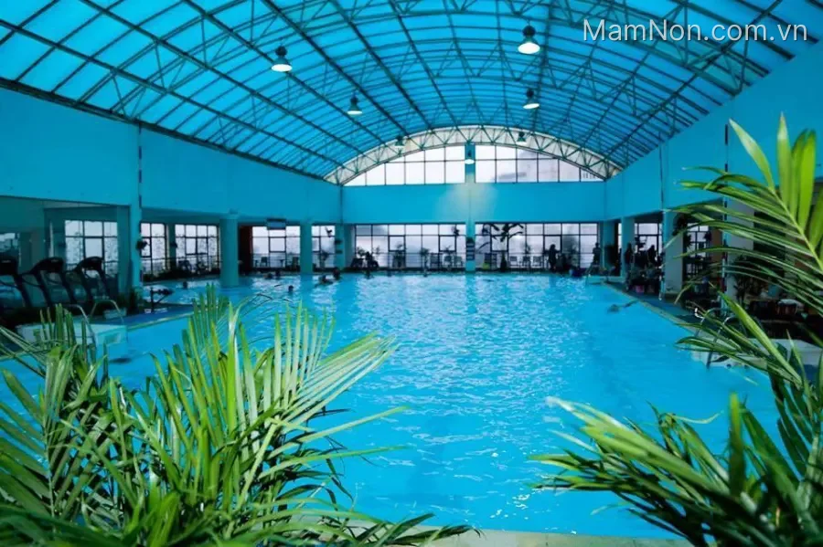 Trung tâm Dạy bơi - Bể bơi Sense Aqua