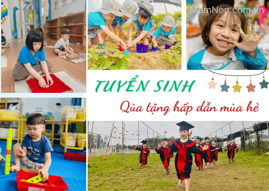 Trường Mầm Non Nụ Cười Mon (Smiles Montessori Preschool)