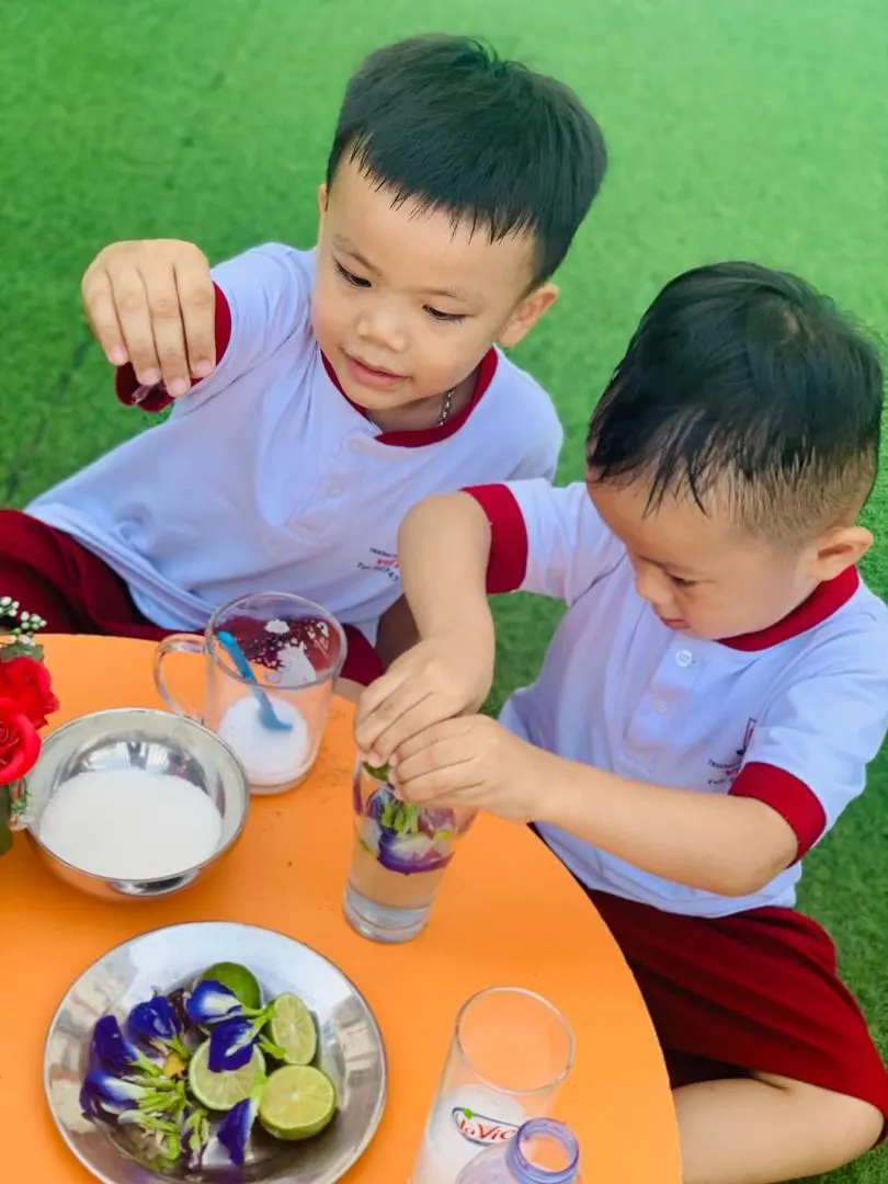 Trường Mầm Non - Tiểu Học Việt Mỹ