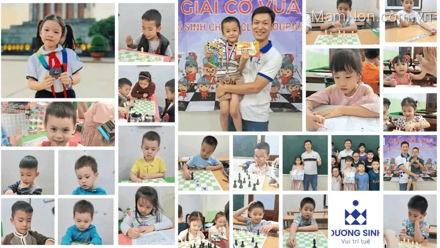 Câu Lạc Bộ Cờ Vua Dương Sinh