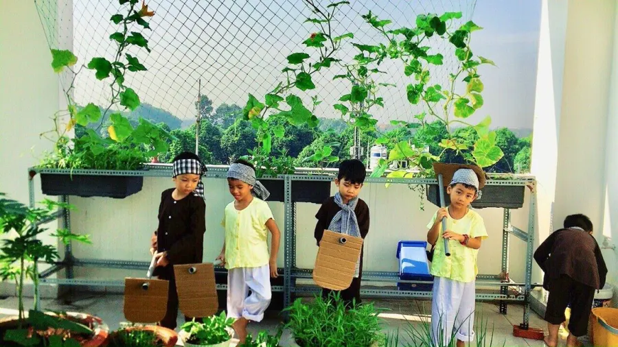 Trường mầm non Hồng Hạnh Montessori