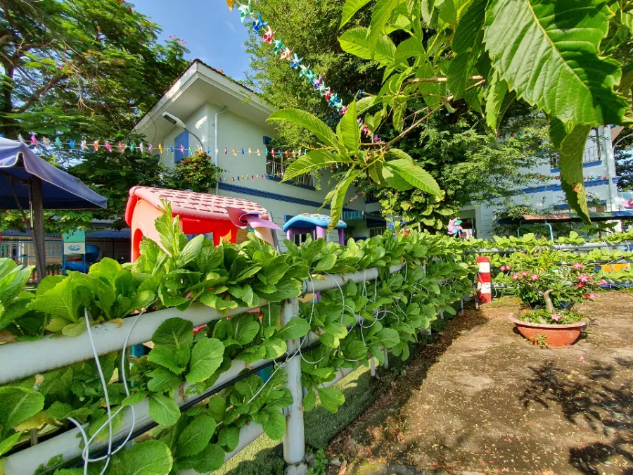Trường Mầm Non Hải Âu