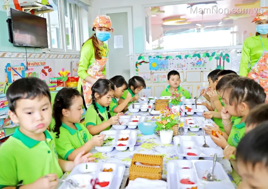 Trường Mầm Non Bông Sen Xanh